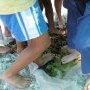 Treading grapes