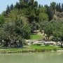 picknickers in Canada Park