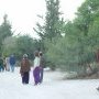 On the walk