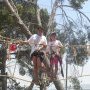 Climbing ropes