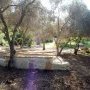 Area from rear