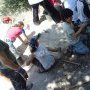 Uncovering the mosaic